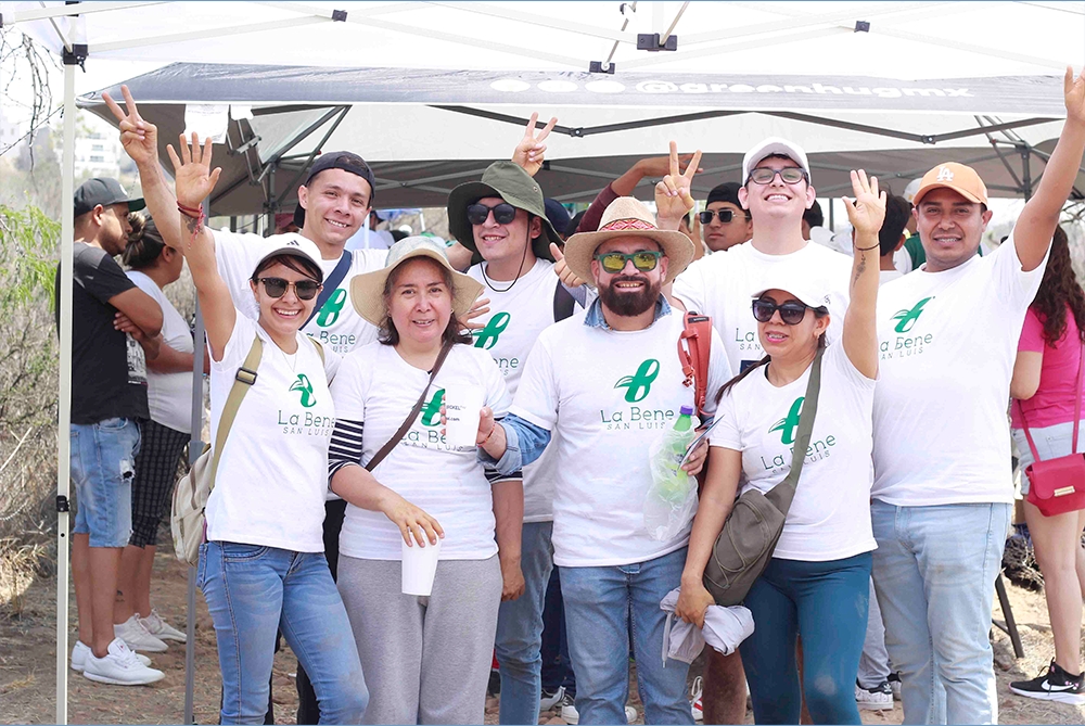 Reforestación — acción ambiental