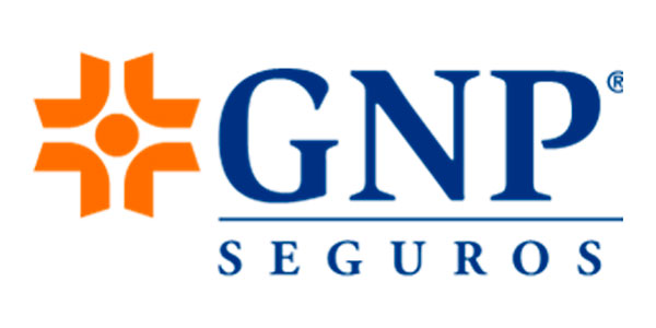 GNP
